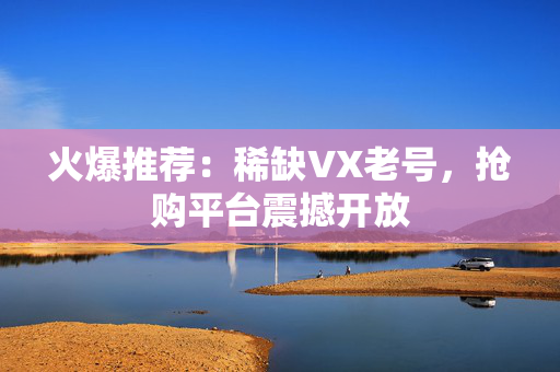 火爆推荐：稀缺VX老号，抢购平台震撼开放