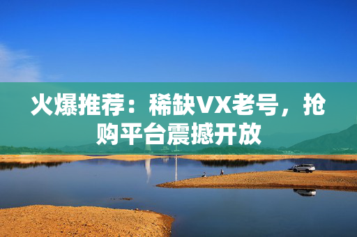火爆推荐：稀缺VX老号，抢购平台震撼开放