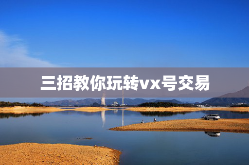 三招教你玩转vx号交易